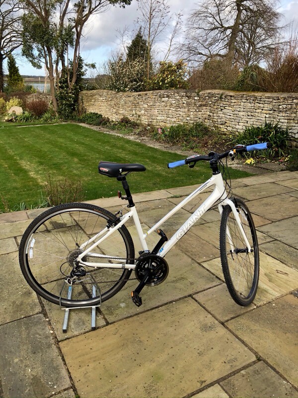 gumtree ladies hybrid bike